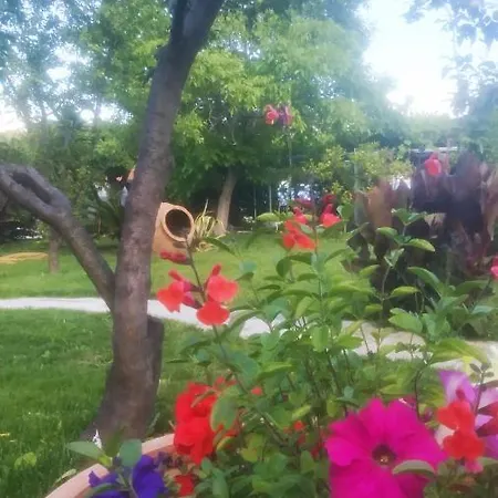 Maniatis Garden