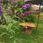 아파트호텔 Maniatis Garden 아클라디에스