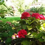 Maniatis Garden 3*
