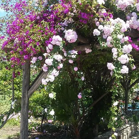 アパートホテル Maniatis Garden 3*