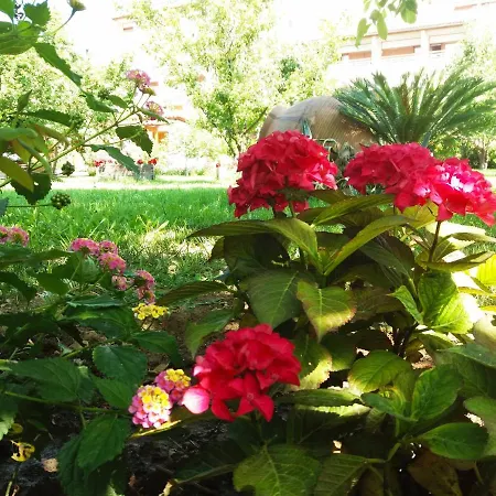 Maniatis Garden *