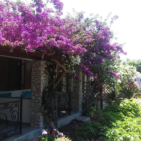 Maniatis Garden * Achladies (Skiathos)